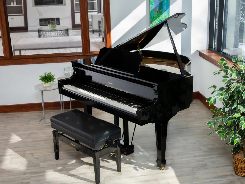 Roland GP-609 PE - Ảnh thực tế 8